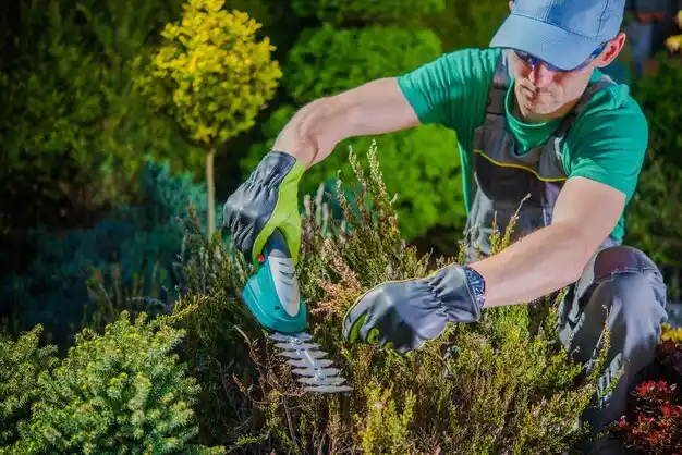 landscaping services Covedale